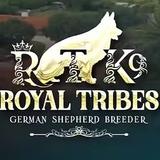 Royal Tribes K9 - Dog Walkers in Palos Verdes Estates