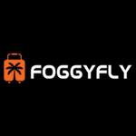 Foggyfly - photo 1