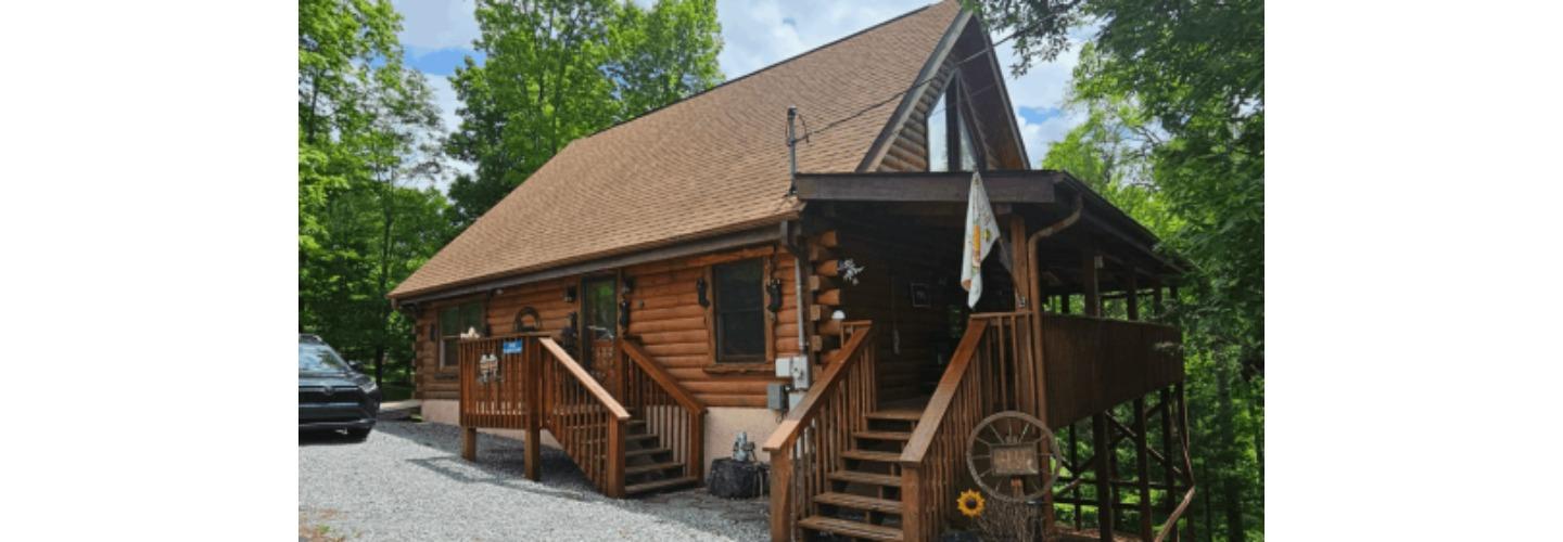 Whales Painting Services cover photo