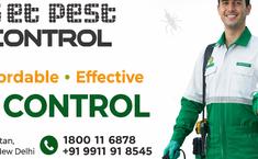 Get Pest Control - Pest Control