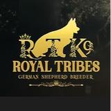 Royal Tribes K9 - Dog Walkers in Beverly Hills