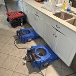 Rhino Restoration of Oldsmar - photo 3