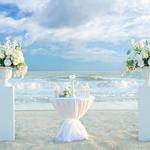 Say Yes in Myrtle Beach - photo 1