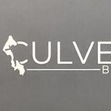 Culver - Roof Inspectors in Langley