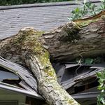 Moore Law Firm - Car Accident & Personal Injury Attorneys - photo 8