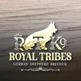 Royal Tribes K9 - Dog Walkers in Malibu