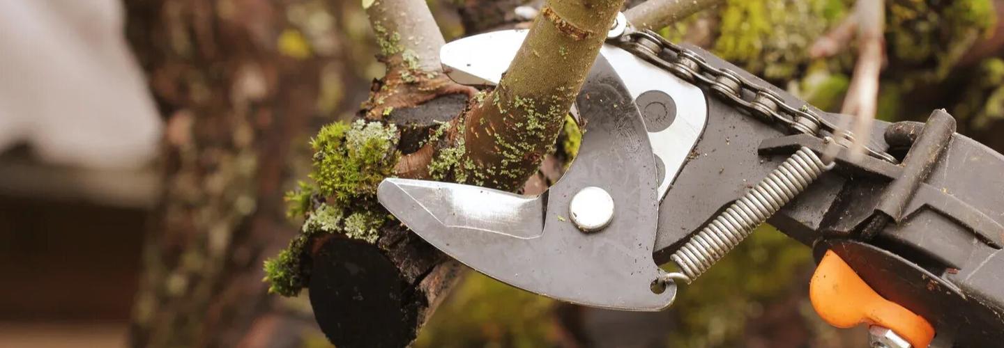 High Tide Services cover photo