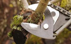 High Tide Services - Tree Services