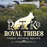 Royal Tribes K9 - Dog Walkers in Calabasas