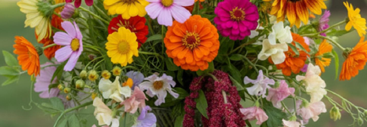 Firefly Farm & Mercantile cover photo