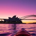 Kayaking Sydney - photo 2