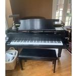 Solich Piano and Music Company - photo 2