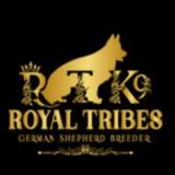 Royal Tribes K9 - Pet Services in La Canada Flintridge