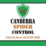 Canberra Spider Control