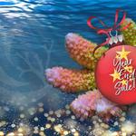 Pacific East Aquaculture - photo 1