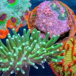 Pacific East Aquaculture - photo 3