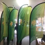 SpeedPro Sidney - photo 2