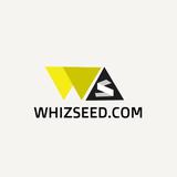 Whizseed Solution - Business Financial Consultants in Noida