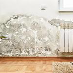 Inovec Restoration & Construction - photo 9