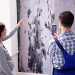 Inovec Restoration & Construction - photo 10