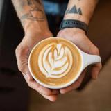 Thousand Hills Coffee - Coffee Shops & Tea Shops in Charlotte