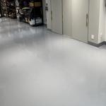 Alanis Epoxy Flooring - photo 1
