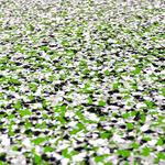 Alanis Epoxy Flooring - photo 4