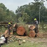 Z’s Outdoor Services - photo 2