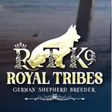 Royal Tribes K9 - Pet Services in Rancho Palos Verdes