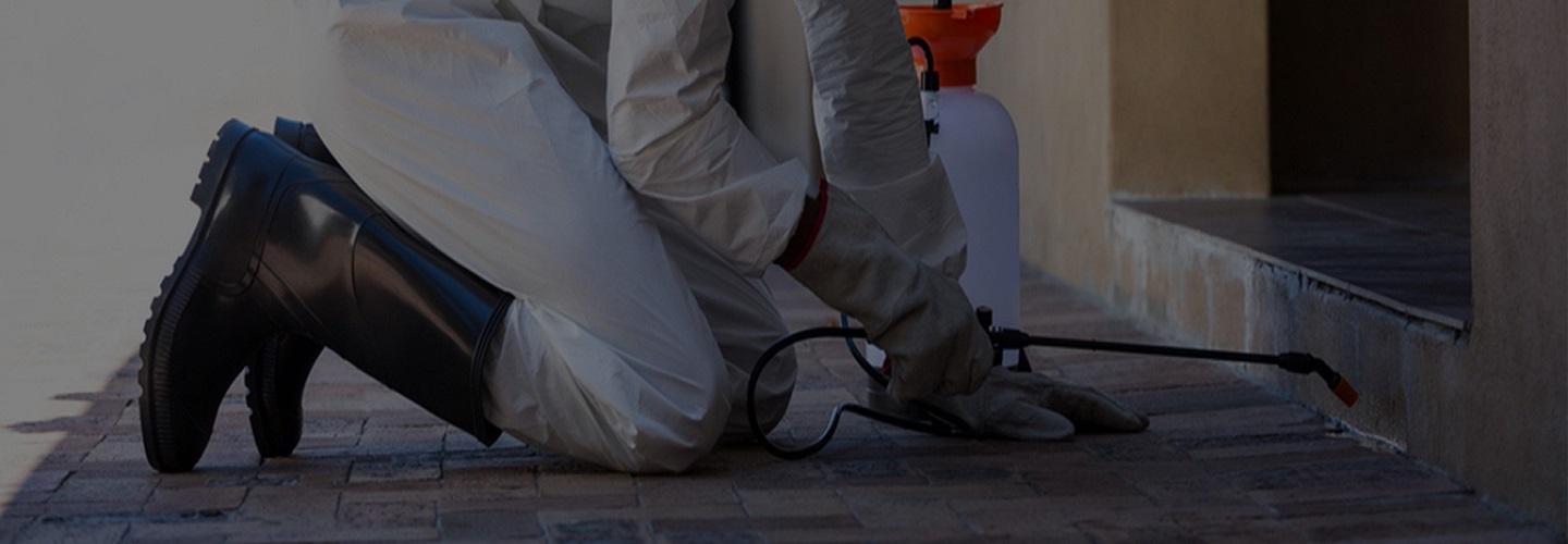 Quality pest control gta cover photo