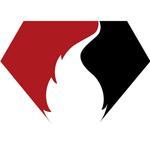 Diamond Fire Protection LLC - photo 5