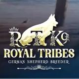 Royal Tribes K9 - Pet/Animal Breeders in Hermosa Beach