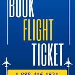 Affordable Flights with Skytravelfly Travel Agency - photo 3