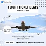 Affordable Flights with Skytravelfly Travel Agency - photo 8