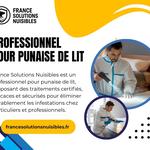France Solutions Nuisibles - photo 3