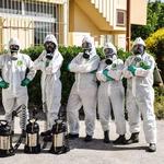 France Solutions Nuisibles - photo 6