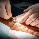 ykorthopaedics - photo 2