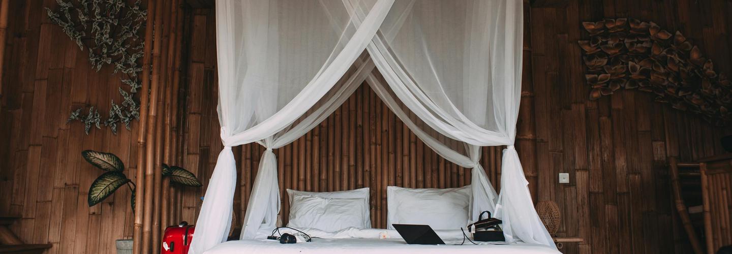 1001nets cover photo