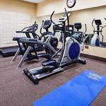 Best Western Lamesa Inn & Suites - photo 4