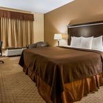 Best Western Lamesa Inn & Suites - photo 7