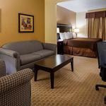 Best Western Lamesa Inn & Suites - photo 8