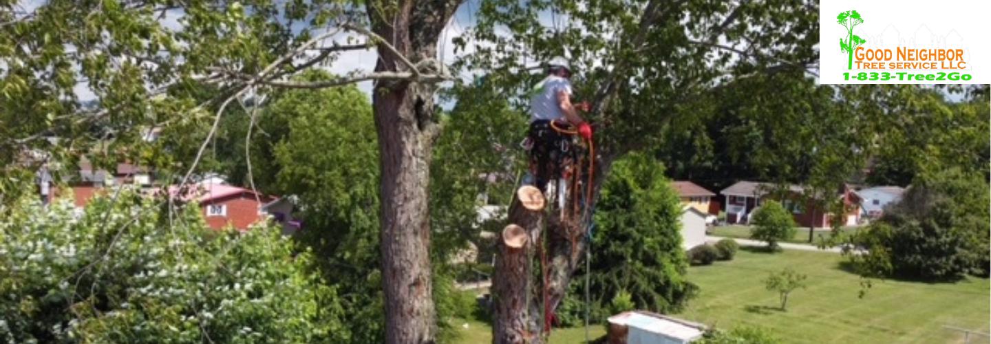 Good Neighbour Tree Service cover photo
