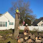 Good Neighbour Tree Service - photo 1