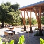 Sixmilebridge Winery - photo 1