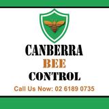 Canberra Bee Control
