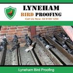 Lyneham Bird Proofing - photo 1