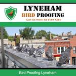 Lyneham Bird Proofing - photo 2
