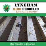 Lyneham Bird Proofing - photo 3