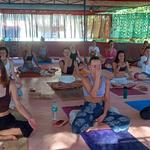 Rishikul Yogshala - photo 1