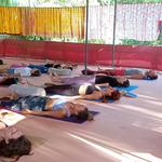 Rishikul Yogshala - photo 2